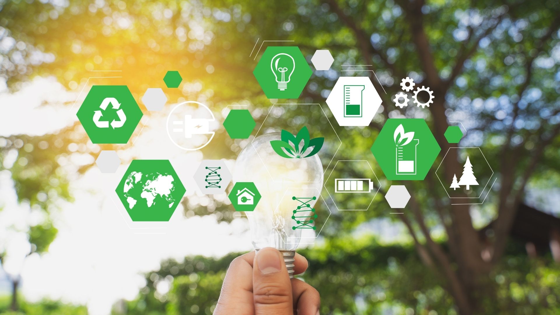 Sürdürülebilirlik Danışmanlığı