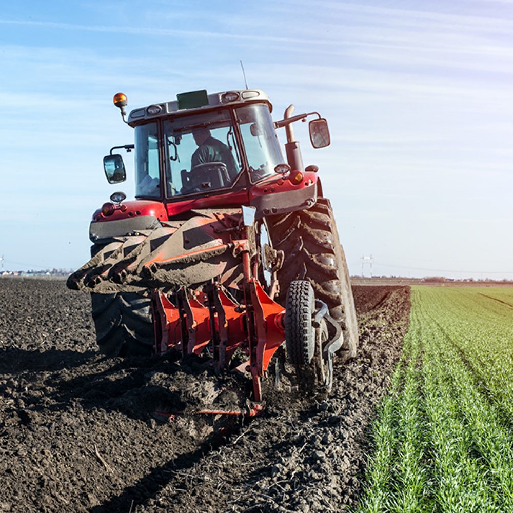 Tractor agricultural machine cultivating field.